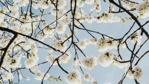 Anzeichen und Symptome von Allergien