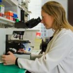 Forschung zu Anämie zeigt Wege zu neuen Behandlungsmethoden