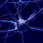 University of California: Mögliche Ursache für Alzheimer entdeckt