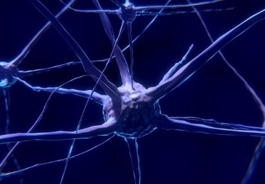 University of California: Mögliche Ursache für Alzheimer entdeckt