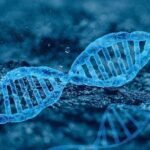 Die Kosten der Sequenzierung des Genoms