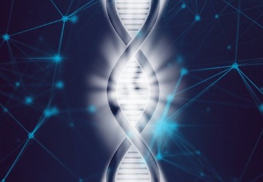 Was versteht man unter Epigenetik?