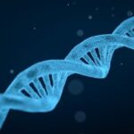 Was sind Genetik und Genomik?