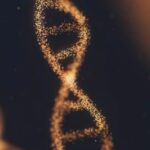 Was ist ein Genom?