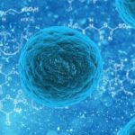 Akute nekrotisierende Enzephalopathie Typ 1 - Ursachen, Symptome und Krankheitsbild