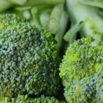 Broccoli sprouts - The ultrafood thanks to sulforaphane