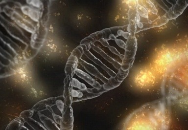 Neuer Sequenzer diagnostiziert genetische Krankheiten in wenigen Stunden