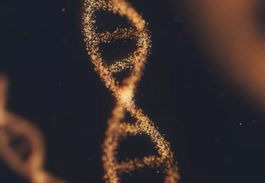Forscher entschlüsseln den Weg der DNA-Reparatur