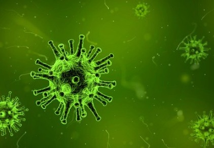 Grippeimpfung: Universeller Influenza-B-Impfstoff schützt umfassend und nachhaltig
