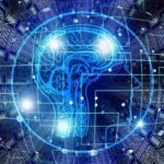 Yale-Studie: Wie sich Gehirnstruktur und -funktion beeinflussen lassen