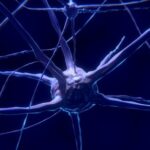 Alzheimer: Neuen Ansatz zur Beseitigung von Amyloid-Beta im Gehirn 