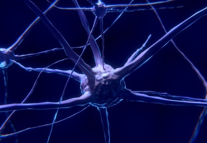 Alzheimer: Neuen Ansatz zur Beseitigung von Amyloid-Beta im Gehirn 