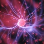 ALS-Forschung - Zelluläre Behandlung bei Amyotrophe Lateralsklerose verlangsamte oder stoppte das Fortschreiten von ALS