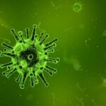 Infektionen: Yale-Studie zu den Auswirkungen des Fastens auf virale und bakterielle Infektion