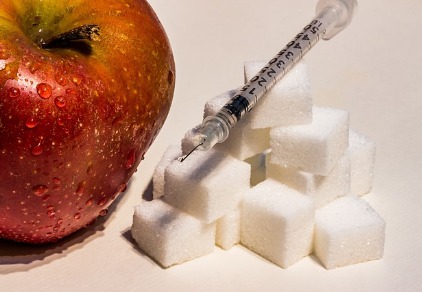 Forschung - Welche Rolle Fructose bei Adipositas und Demenz spielt