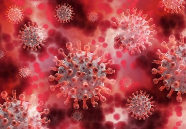 Hepatitis C - Ansteckung, Symptome, Behandlung, Impfung