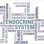 Exokrine Pankreasinsuffizienz - Symptome, Ernährung, Lebenserwartung, Diagnostik