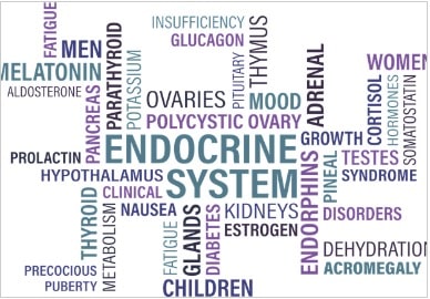 Exokrine Pankreasinsuffizienz - Symptome, Ernährung, Lebenserwartung, Diagnostik
