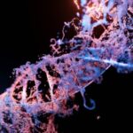 DNA-Veränderungen helfen, Krankheiten und Sterblichkeit vorherzusagen