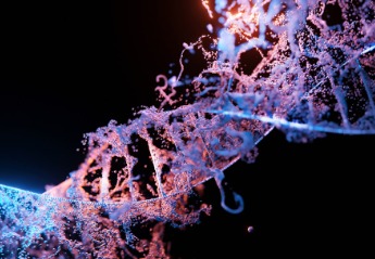 DNA-Veränderungen helfen, Krankheiten und Sterblichkeit vorherzusagen
