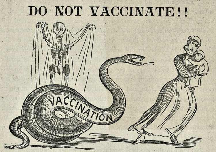 Von Katzen-Memes zu Impf-Desinformationen