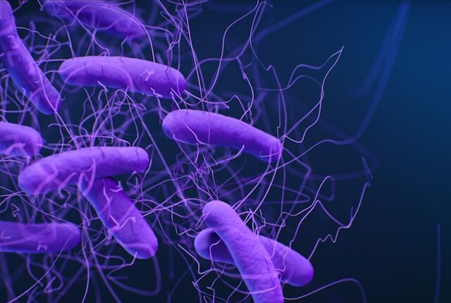 Stille Schäden: Was Antibiotika wirklich mit unserem Darm machen