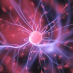 Fasten und Gehirngesundheit