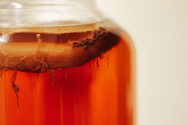 Gesundheitliche Vorteile von Kombucha