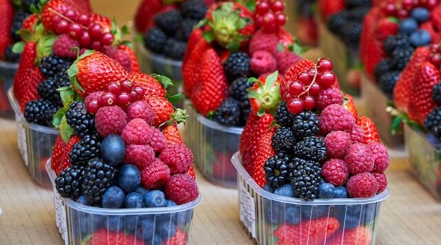 Darm-Hirn-Achse Fructose Malabsorption Angst Neuroinflammation