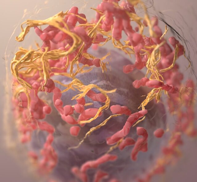 Tumor-Metabolismus und Immunzellen im sauren Mikroumfeld