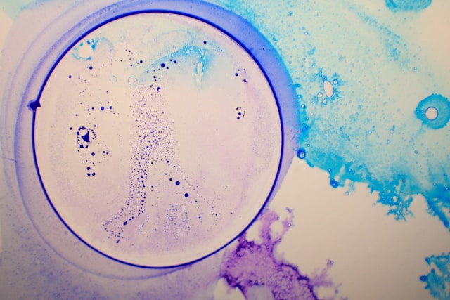 Schlüsselgen NANOG: Base-Editing revolutioniert Embryoforschung