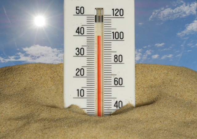 Extreme Hitze und psychische Gesundheit Wie steigende Temperaturen das Gehirn belasten